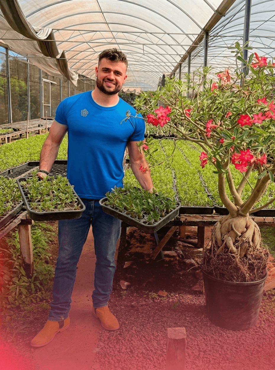 GM Rosa do Deserto - Cultivo de qualidade